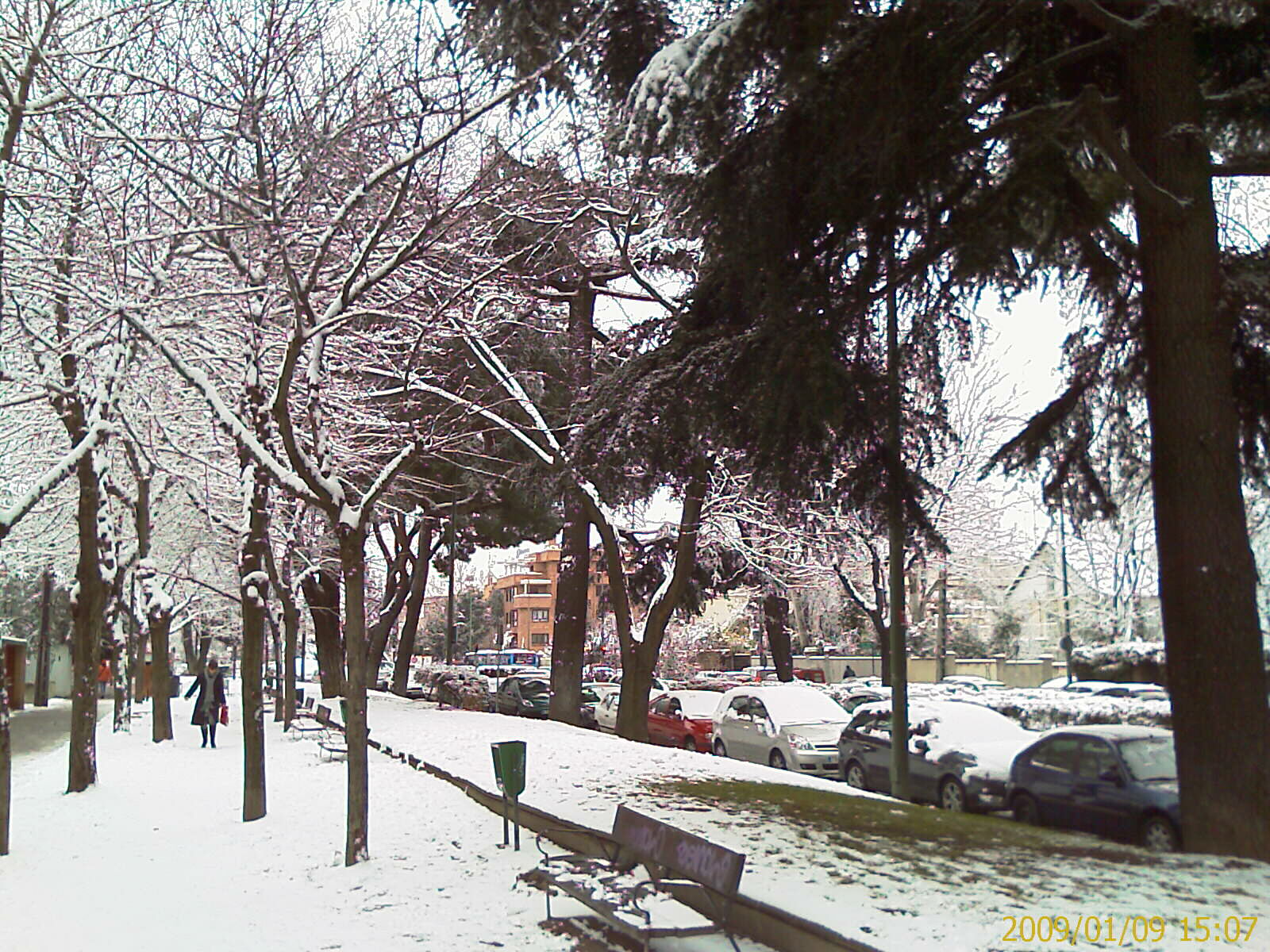 20090109-imag0052.jpg